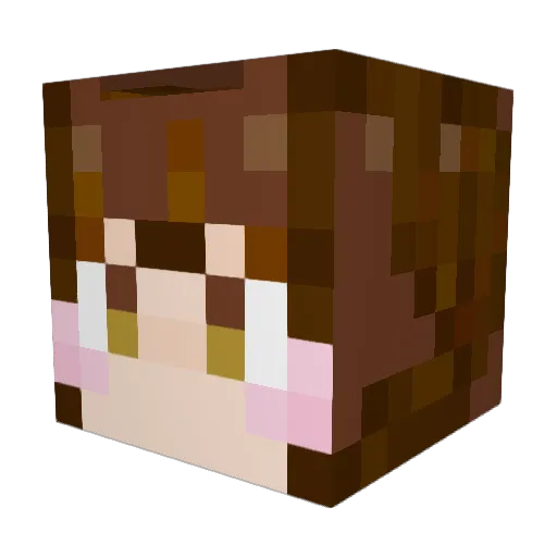 beardraeb Minecraft avatar head, 3D render
