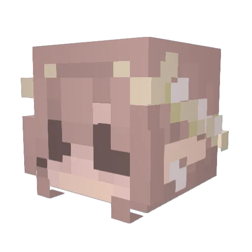 bearelz Minecraft avatar head, 3D render