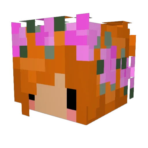 bearflup Minecraft avatar head, 3D render