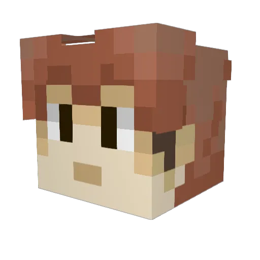 bearhaddock Minecraft avatar head, 3D render