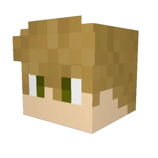 bearhawk5 Minecraft avatar head, 3D render