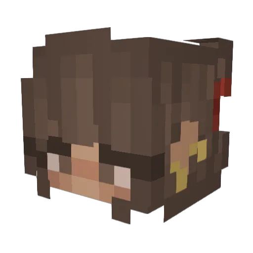 bearhugs135 Minecraft avatar head, 3D render