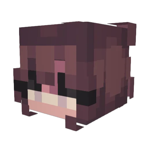 bearhugyay Minecraft avatar head, 3D render