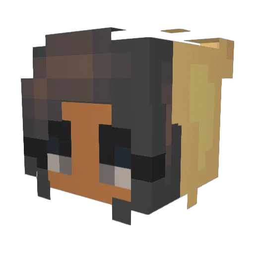 beariebored Minecraft avatar head, 3D render