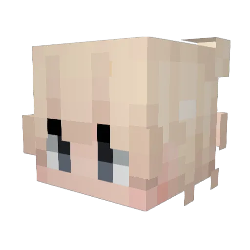 bearmanx Minecraft avatar head, 3D render