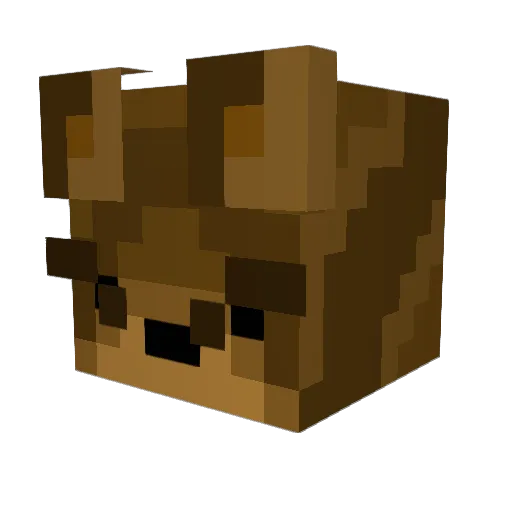 bearpepsi Minecraft avatar head, 3D render