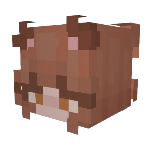 bears__ Minecraft avatar head, 3D render