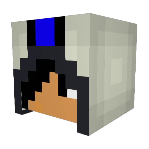 bears_fan Minecraft avatar head, 3D render