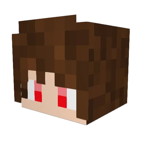 bearsboy9 Minecraft avatar head, 3D render