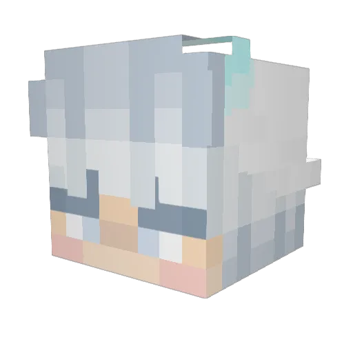 bearyhatesouma Minecraft avatar head, 3D render