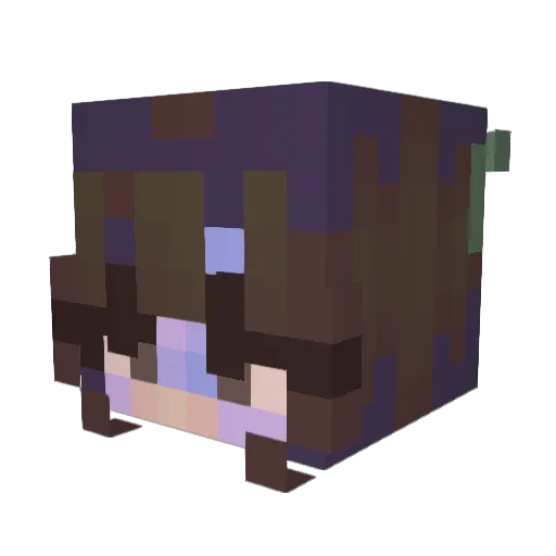 beast5973 Minecraft avatar head, 3D render
