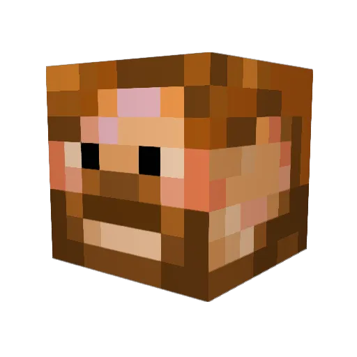 beatlefreak9 Minecraft avatar head, 3D render
