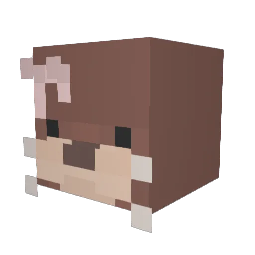beatopia_ Minecraft avatar head, 3D render