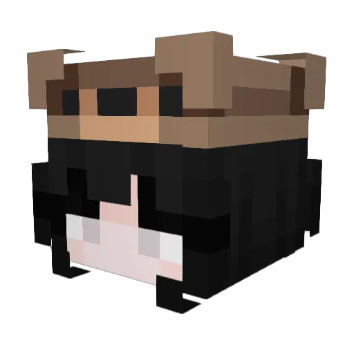 beatrixyz Minecraft avatar head, 3D render