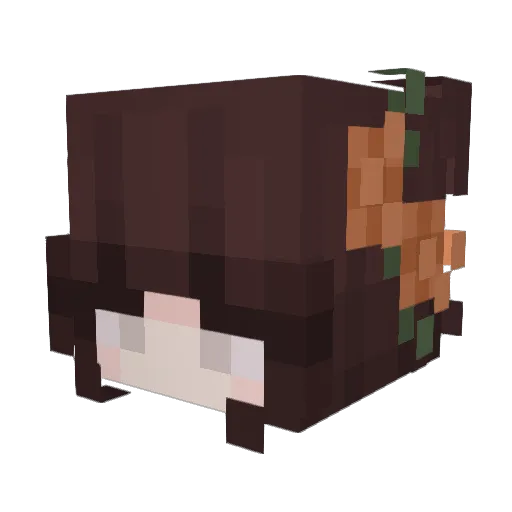 beatrizyy Minecraft avatar head, 3D render