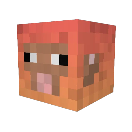 beatsmelody Minecraft avatar head, 3D render