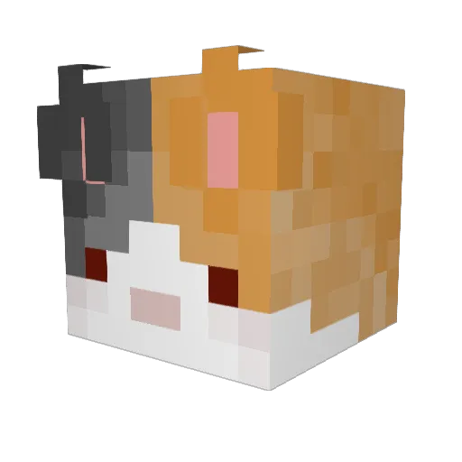 beautiful5 Minecraft avatar head, 3D render