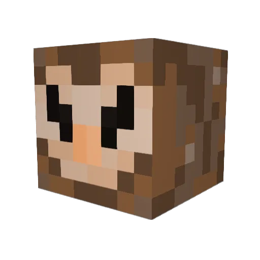 beaver0206 Minecraft avatar head, 3D render