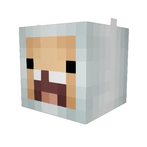 beavetapuswalle Minecraft avatar head, 3D render
