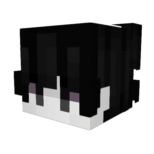 beaw Minecraft avatar head, 3D render