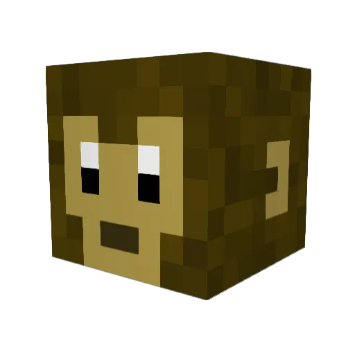 bebauk Minecraft avatar head, 3D render
