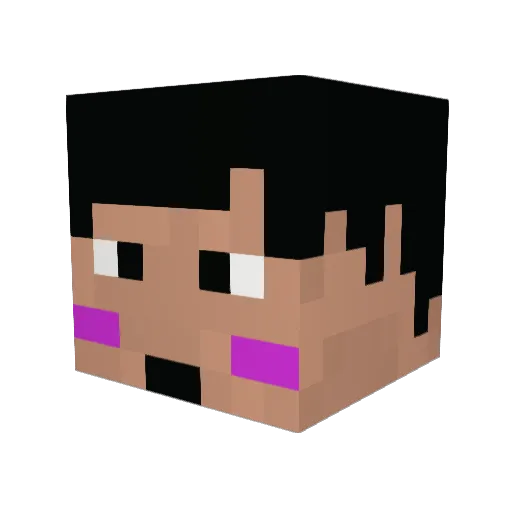 becchan Minecraft avatar head, 3D render