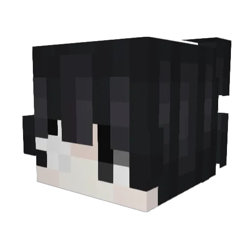 becomin Minecraft avatar head, 3D render