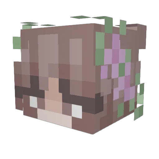 becs14 Minecraft avatar head, 3D render