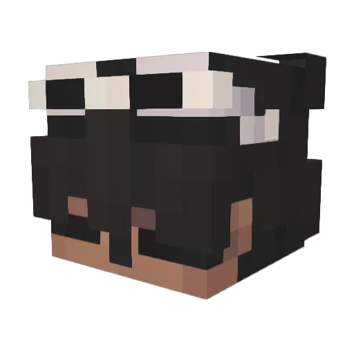 beczka202 Minecraft avatar head, 3D render