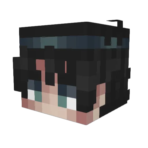 bedirhanee Minecraft avatar head, 3D render