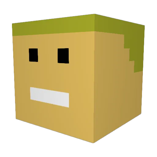 bedwarskoks2137 Minecraft avatar head, 3D render