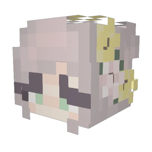 bee_926 Minecraft avatar head, 3D render