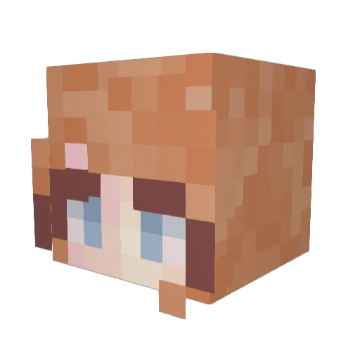 bee_jpeg Minecraft avatar head, 3D render