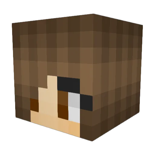 bee_rage Minecraft avatar head, 3D render