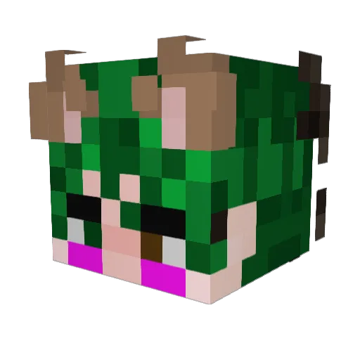 bee_socks Minecraft avatar head, 3D render
