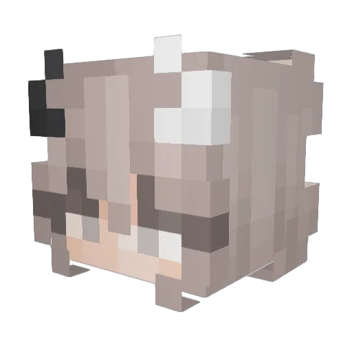 beeapup Minecraft avatar head, 3D render