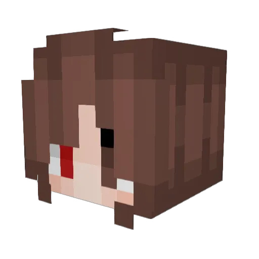 beebeebzz Minecraft avatar head, 3D render