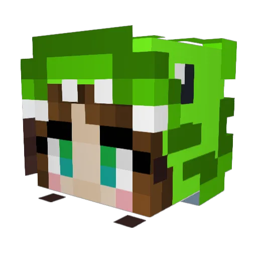 beebiu Minecraft avatar head, 3D render