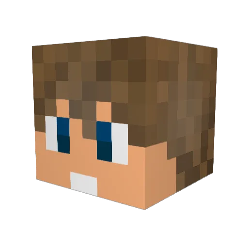 beebq8 Minecraft avatar head, 3D render