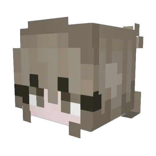 beebs52 Minecraft avatar head, 3D render