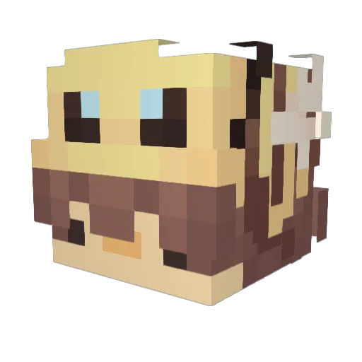beebutch_ Minecraft avatar head, 3D render
