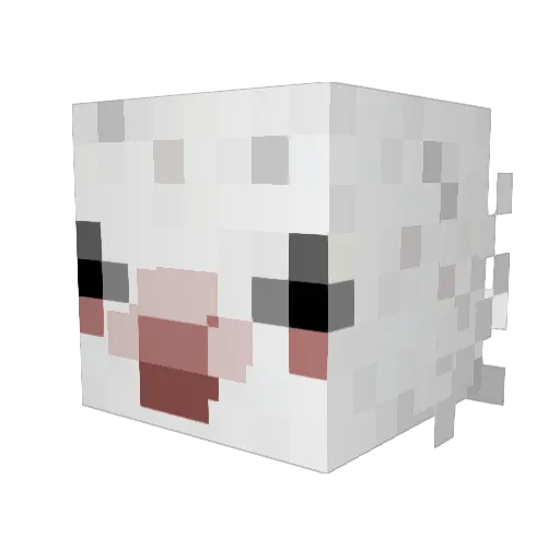 beedulgi7 Minecraft avatar head, 3D render