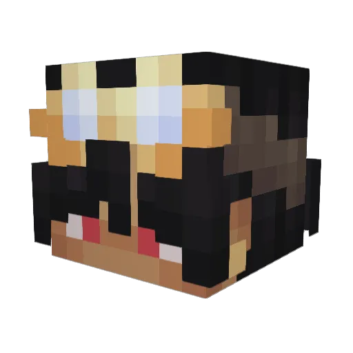beeebeee07 Minecraft avatar head, 3D render