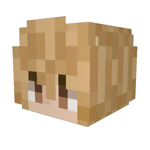 beeeman Minecraft avatar head, 3D render