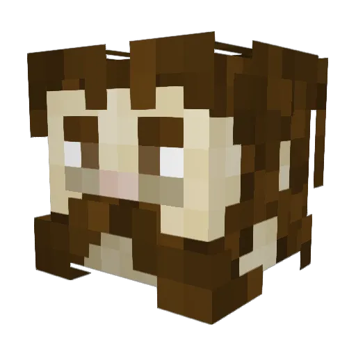 beefjerkyrules Minecraft avatar head, 3D render