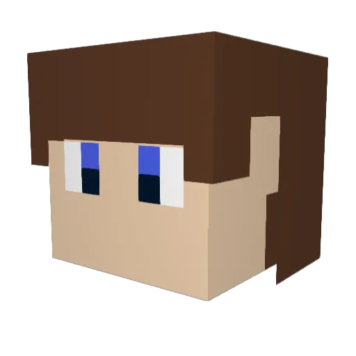 beeflord1234 Minecraft avatar head, 3D render