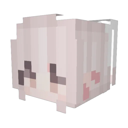 beefnoodle Minecraft avatar head, 3D render