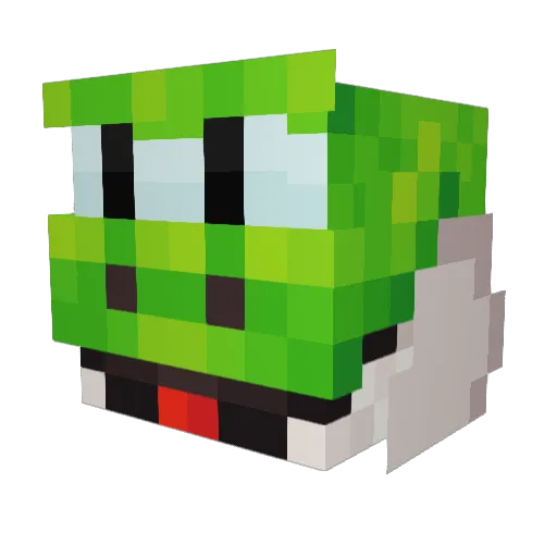 beegbigyoshi Minecraft avatar head, 3D render