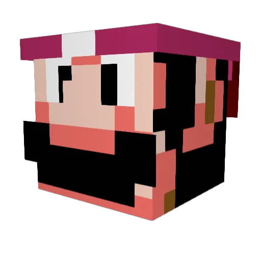 beegjeemy Minecraft avatar head, 3D render