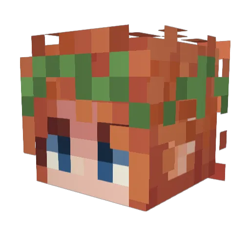 beeglass Minecraft avatar head, 3D render
